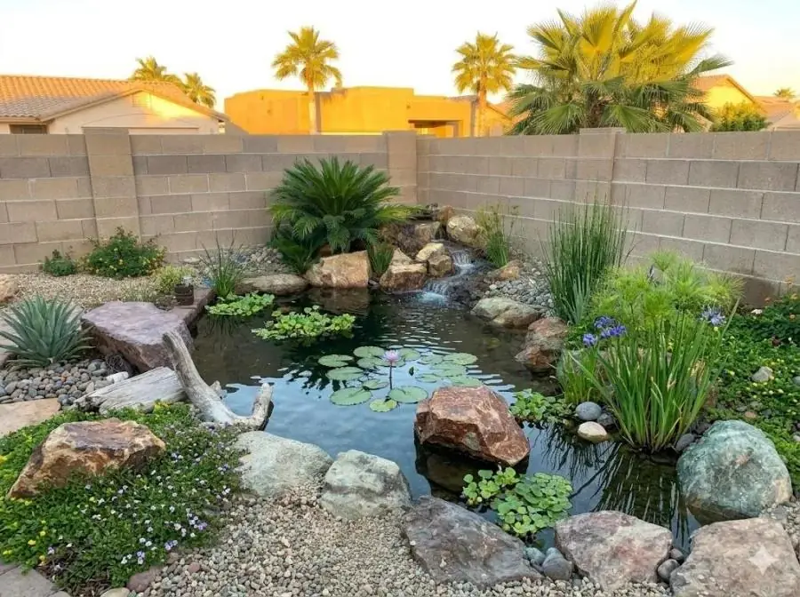 Backyard koi pond with lilies and stone border in Mesa, AZ